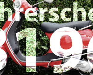 B196 Bescheinigung Kaufen