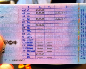 Führerschein kaufen